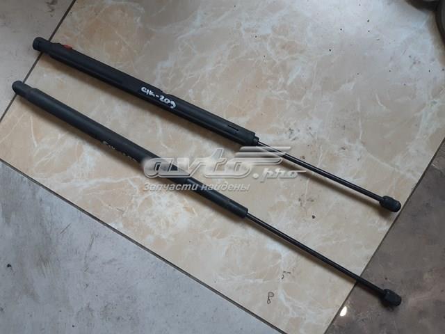 MERCEDES A2038800029 Амортизатор капота правый в наличии Ирпень