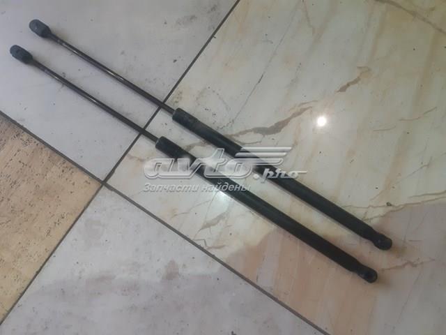 A2039800164 MERCEDES Амортизатор крышки багажника (двери 3/5-й задней) купить в Украина