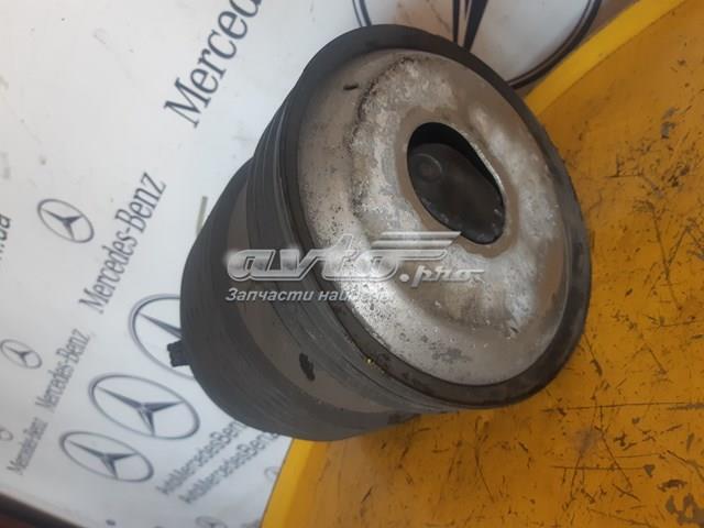 A2053200725 MERCEDES Пневмоподушка (пневморессора) моста заднего купить в Харьков