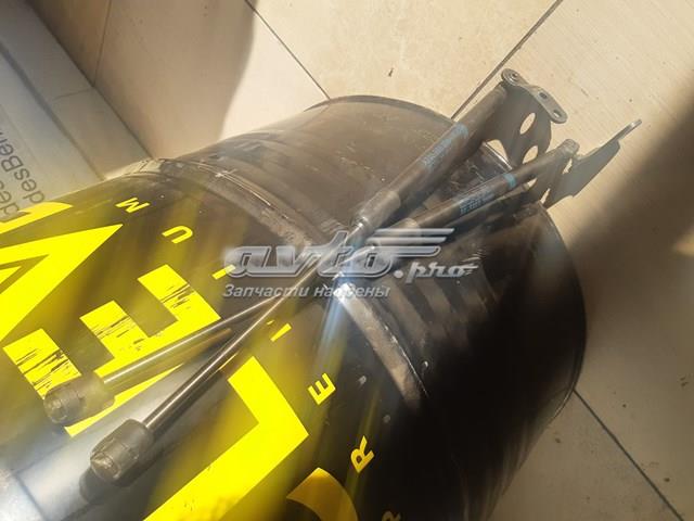 Амортизатор задней двери A2059800964 MERCEDES