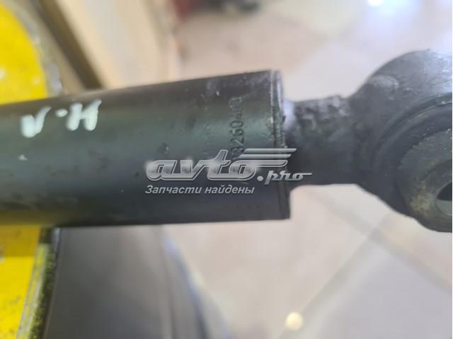 MERCEDES A2113260900 Амортизатор задний в наличии Львов