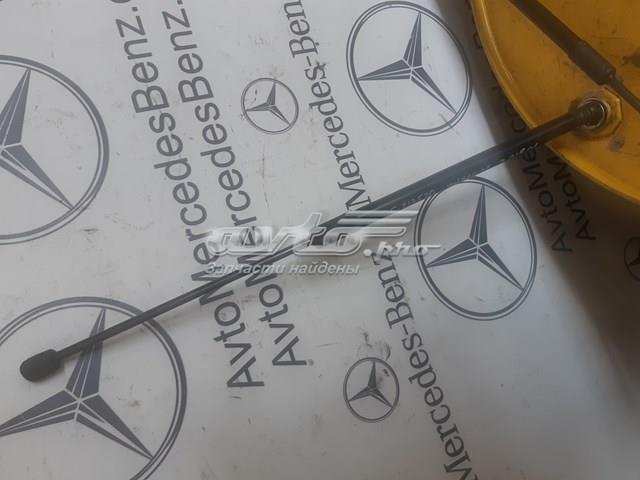 Амортизатор двери багажника A2139800564 MERCEDES