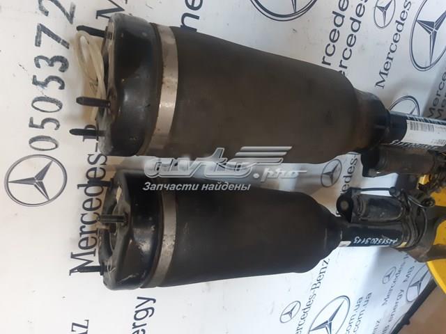 A2513203113 MERCEDES Амортизатор передний купить в Каменское