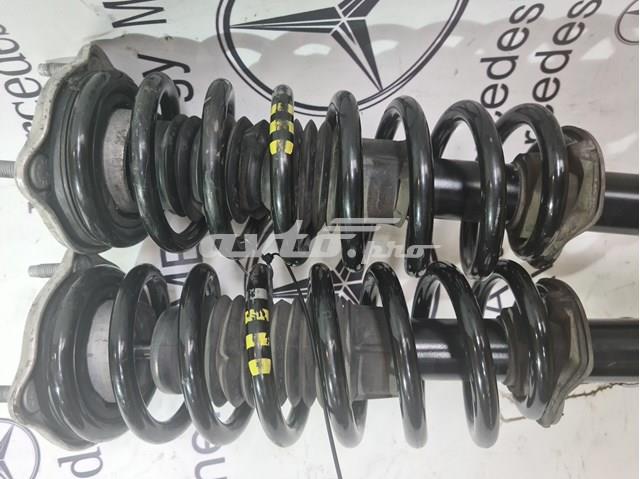 A2533203066 купить Каменское