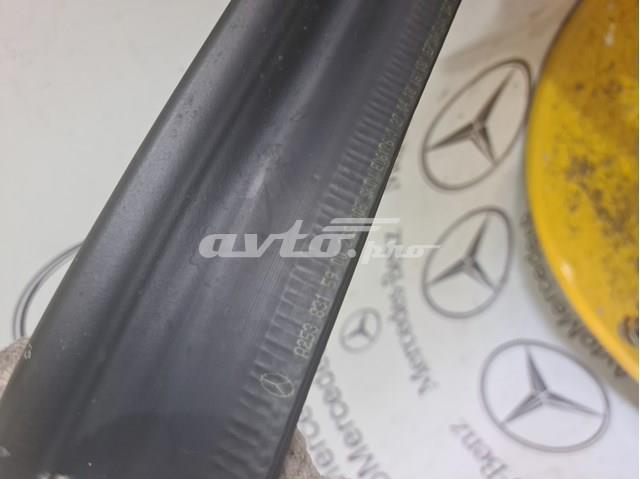 MERCEDES A2538315900 в наличии Черновцы