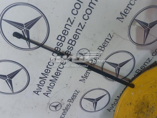 Опора капота левая A2539801164 MERCEDES