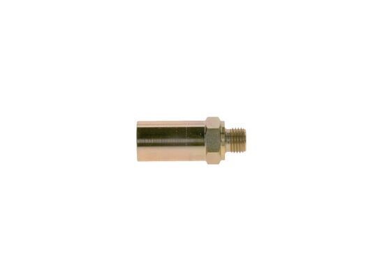 BOSCH 2417413071 Топливный перепускной клапан (болт банджо) в наличии Днепр