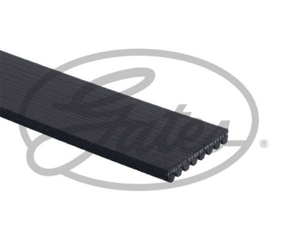 8PK1225 GATES Ремень агрегатов приводной купить в Тернополь