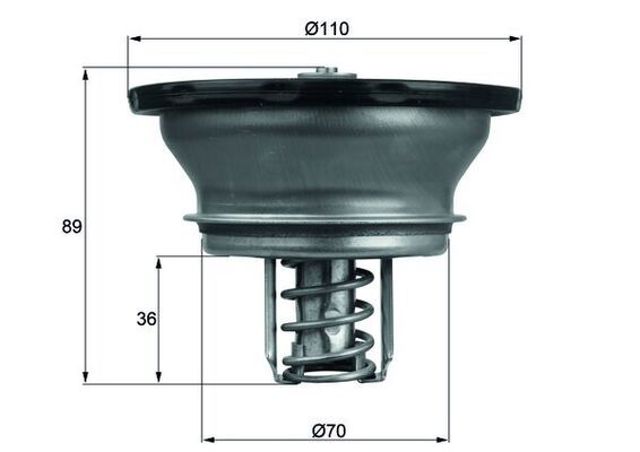 THD382 MAHLE Термостат купить в Львов
