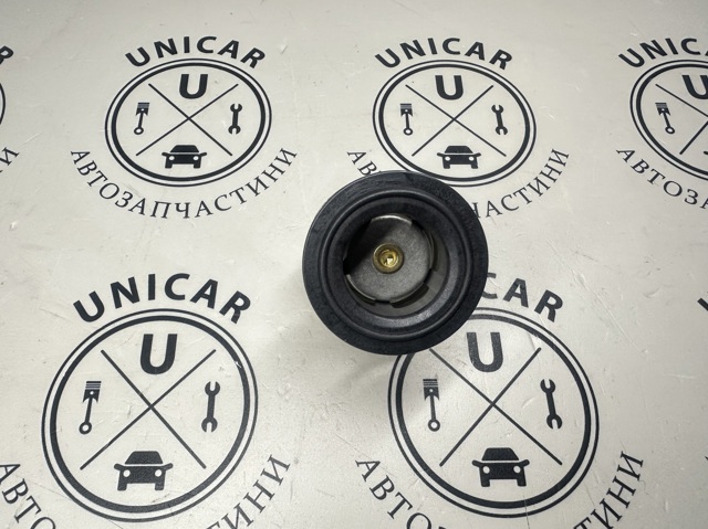 11518588945 Термостат купить Ирпень