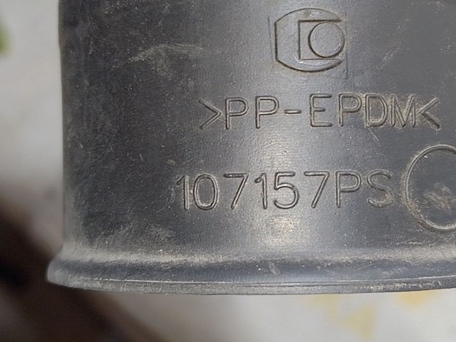 RENAULT 107157PS в наличии Запорожье