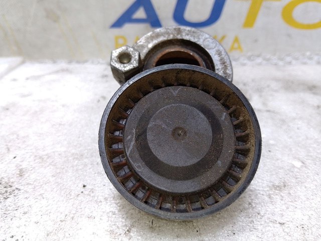 Ролик натяжителя приводного ремня 117504048R RENAULT