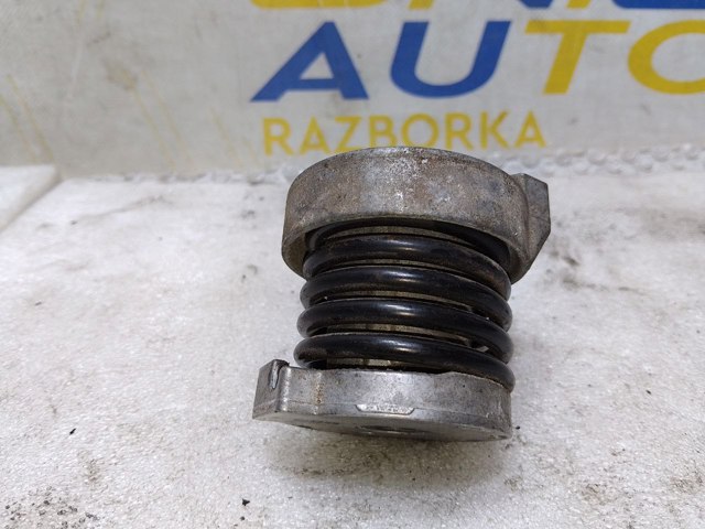 117504048R RENAULT Ролик натяжителя приводного ремня купить в Ирпень
