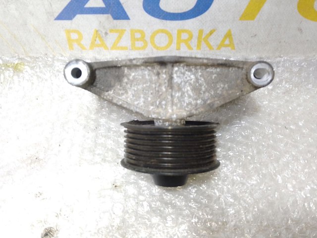 Ремень агрегатов приводной, комплект 119231672R RENAULT