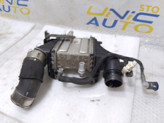 144967867R RENAULT Интеркулер купить в Тернополь