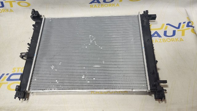 RENAULT 214101612R Радиатор в наличии Кривой Рог
