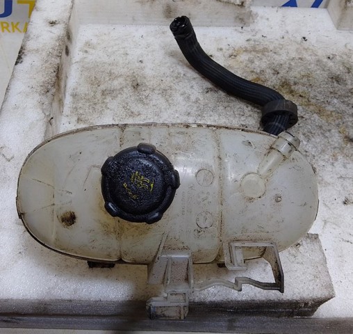 RENAULT 217101893R в наличии Николаев