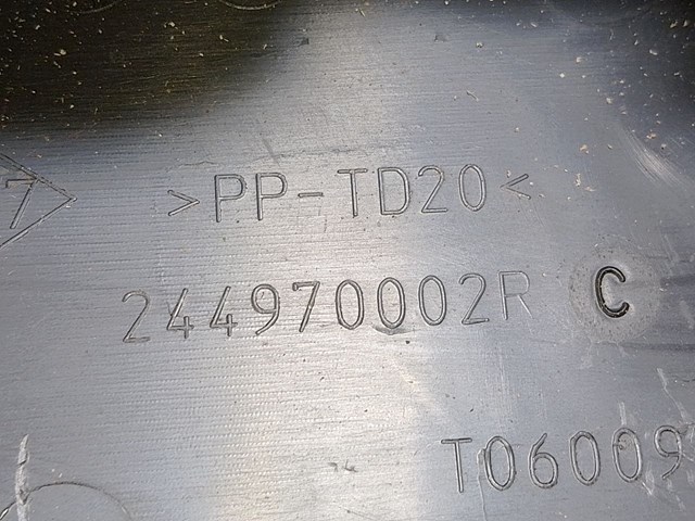 244970002R купить Николаев
