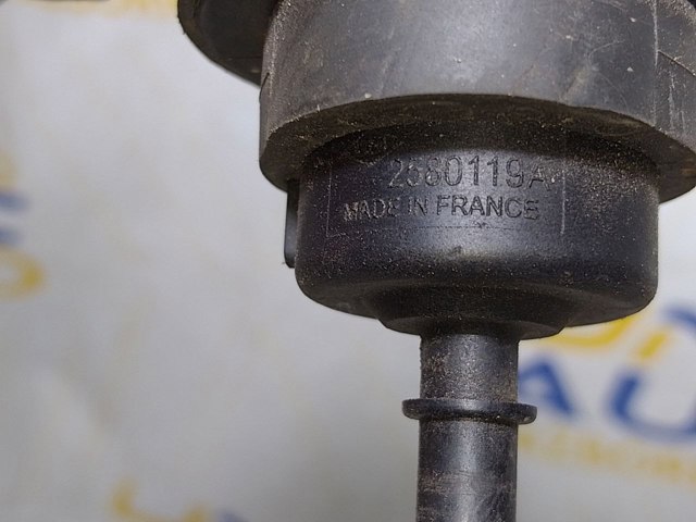 2580119A RENAULT Клапан адсорбера топливных паров купить в Полтава
