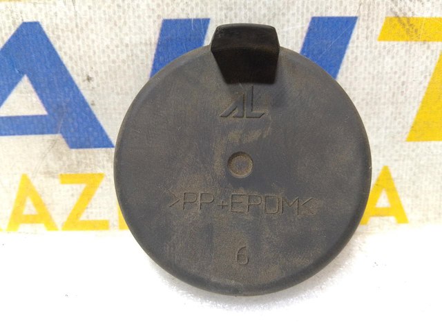 RENAULT 260290441R Крышка фары задняя в наличии Львов