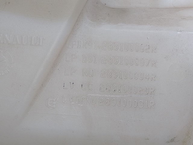RENAULT 289100002R в наличии Павлоград