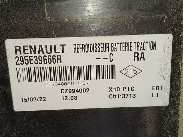 RENAULT 295E39666R в наличии Полтава