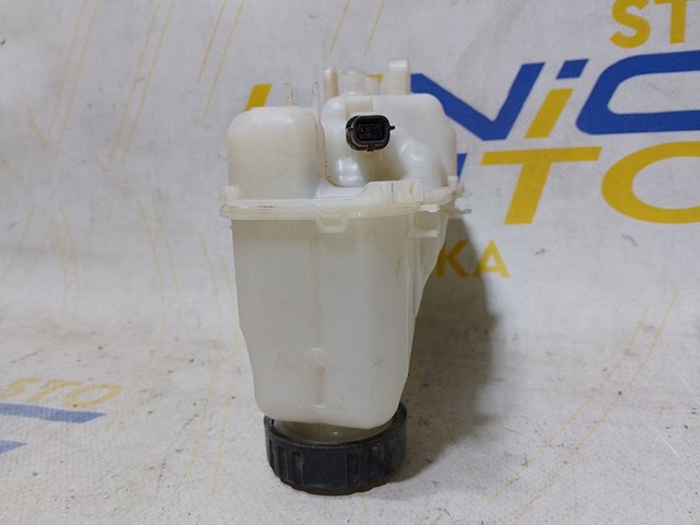 RENAULT 460913217R Бачок тормозной в наличии Винница