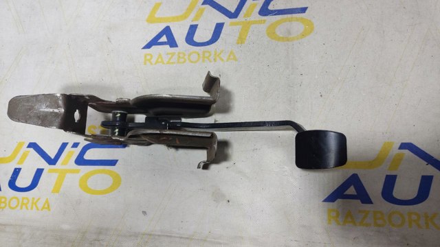 RENAULT 465016578R Педаль тормоза в наличии Павлоград