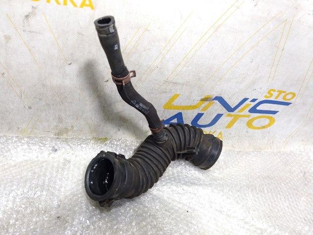 8200527952 RENAULT купить в Житомир