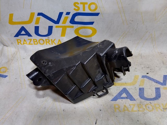 8200738816 RENAULT Корпус блока предохранителей купить в Черновцы
