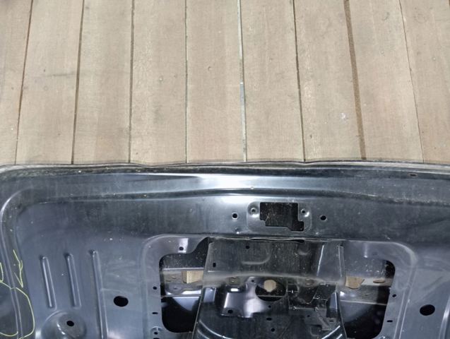 901005006R RENAULT Дверь задняя (багажная 3/5-я (ляда) купить в Украина