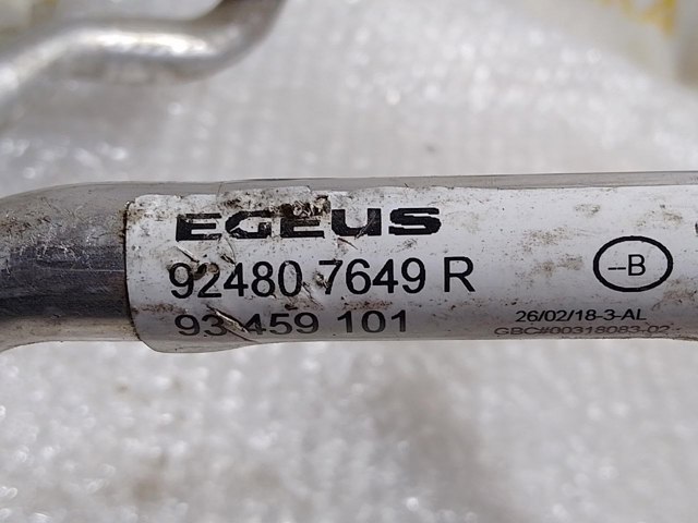 RENAULT 924807649R в наличии Украина
