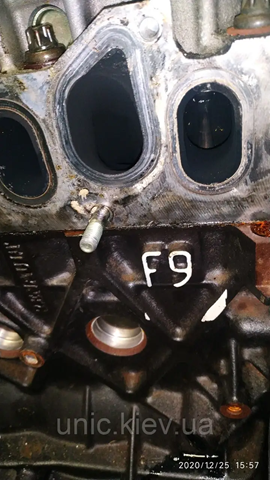 RENAULT F9QE804 Двигатель в наличии Харьков