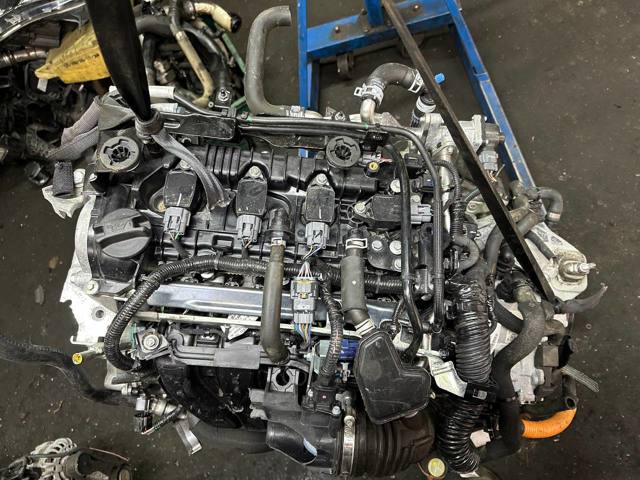 H4MC632 RENAULT Двигатель купить в Тернополь