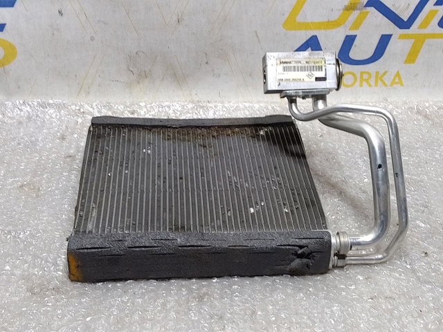 RENAULT T1033442F в наличии Полтава