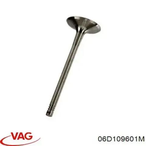 Впускной клапан 06D109601M VAG
