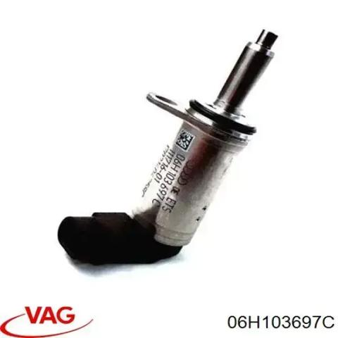 Регулятор фаз газораспределения 06H103697C VAG