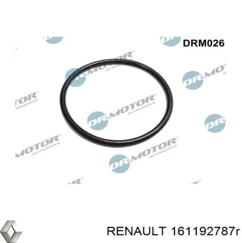 Дроссельная заслонка 161192787R RENAULT