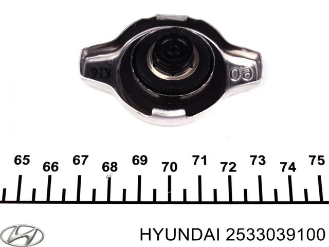 Крышка бачка радиатора 2533039100 HYUNDAI
