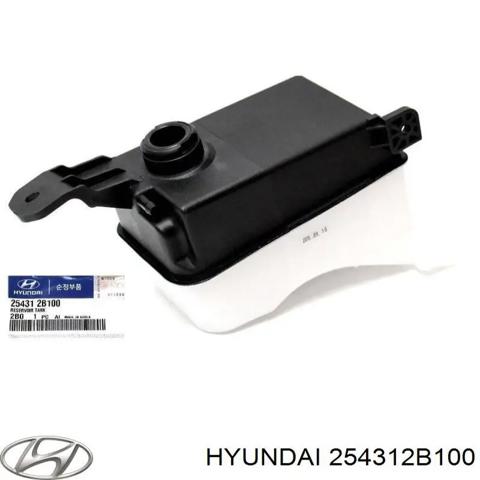 Расширительный бачок охлаждения 254312B100 HYUNDAI