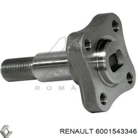 6001543346 Renault (RVI)
