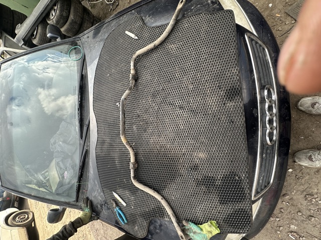 Стабилизатор поперечной устойчивости передний 6001547137 RENAULT
