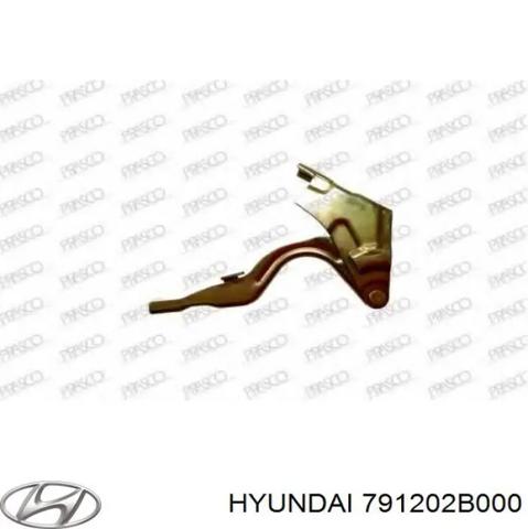 791202B000 HYUNDAI Петля капота правая купить в Ужгород