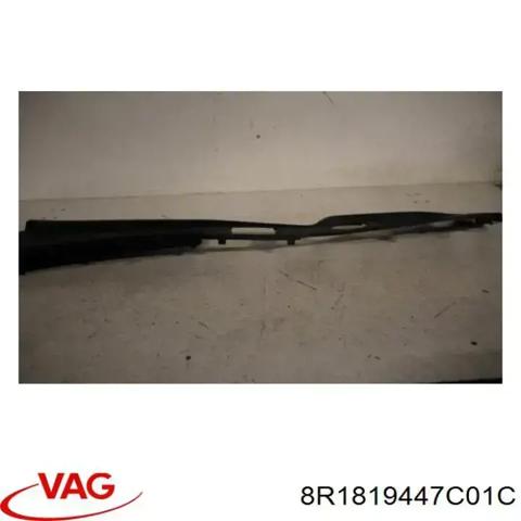 Водосток лобового стекла, жабо 8R1819447C01C VAG