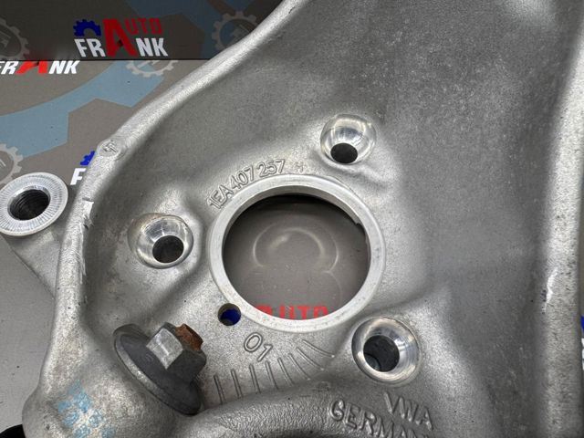 1EA407253H VAG Цапфа (поворотный кулак) передний левый купить в Львов