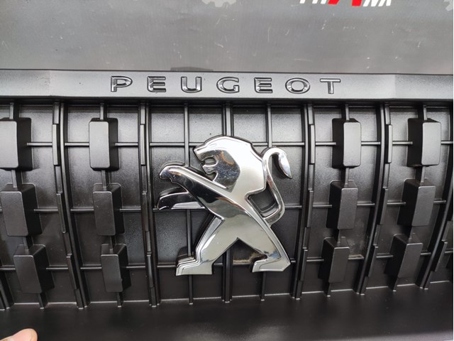 9845427080 PEUGEOT купить в Ирпень