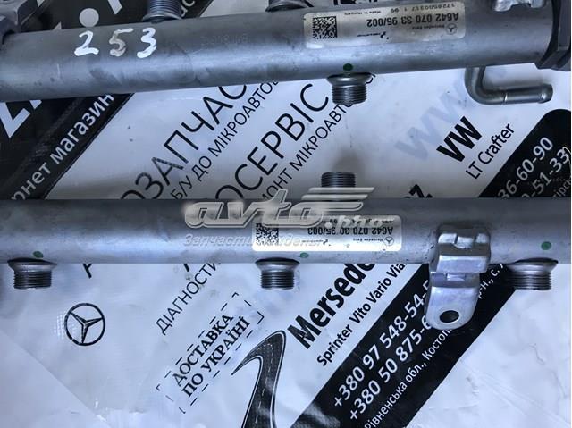MERCEDES 6420703395 Распределитель топлива (рампа) левый в наличии Черновцы