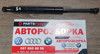 Амортизатор полки багажника 51479149120 BMW