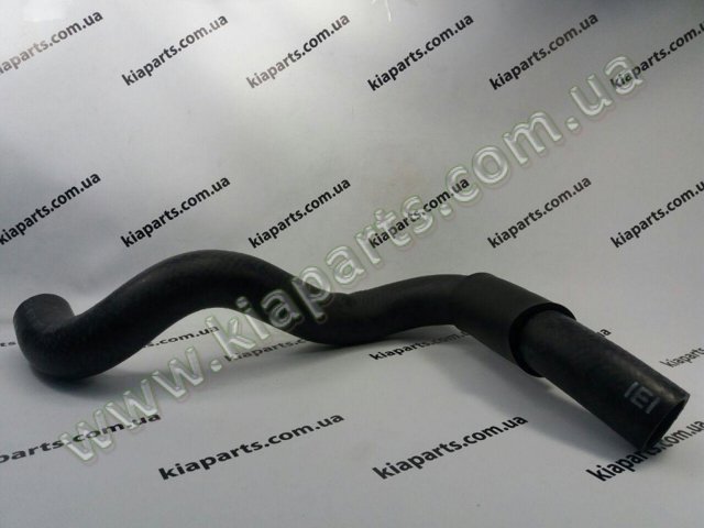 Патрубок радиатора охлаждения нижний 254122E200 HYUNDAI