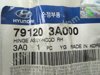 Петля капота правая 791203A000